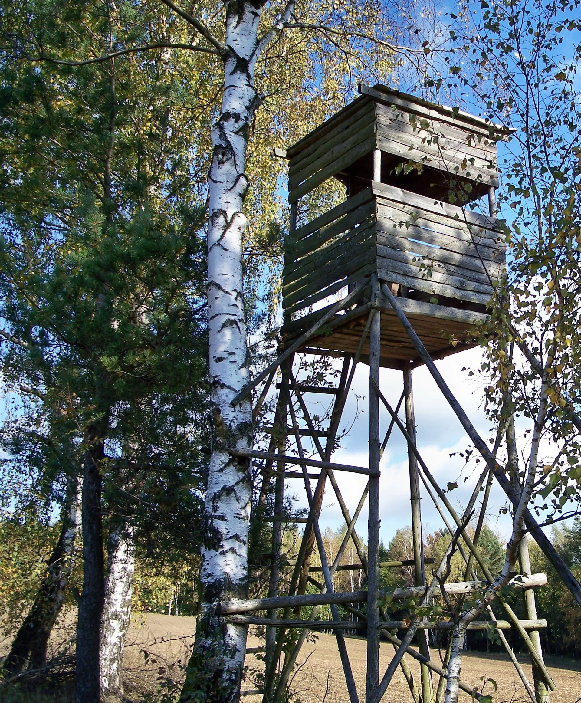 Hochsitz am Waldrand